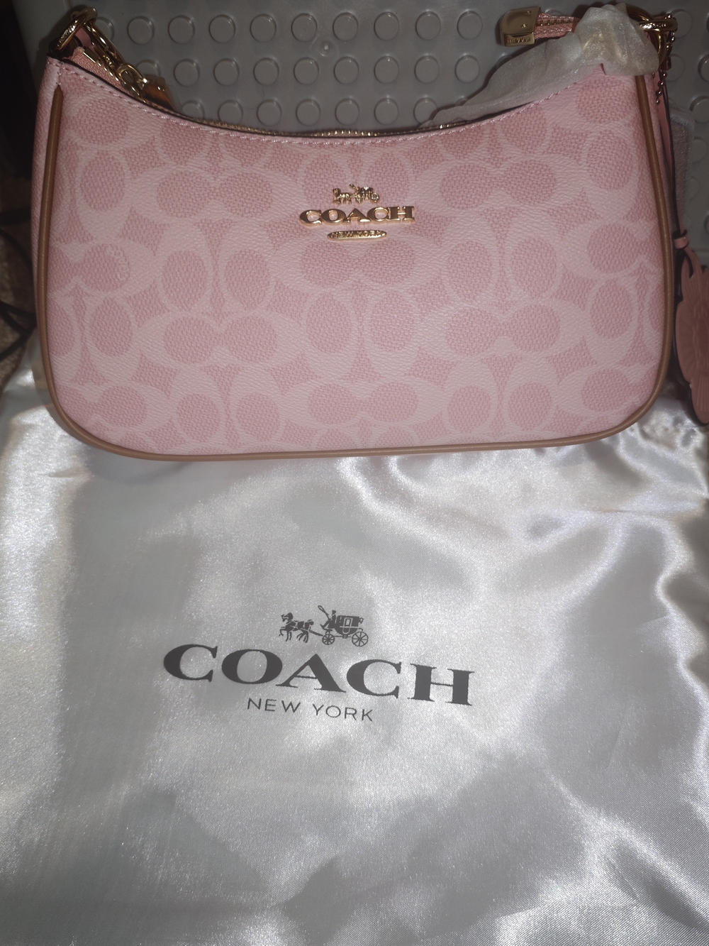 COACH TERI SHOULDER BAG IN SIGNATURE CANVAS CEA20 POWDER PINK - NWT! - Picture 3 of 8